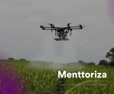 Agrotech Menttoriza