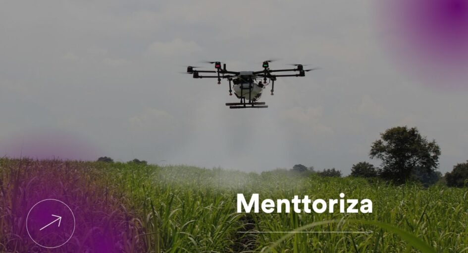 Agrotech Menttoriza