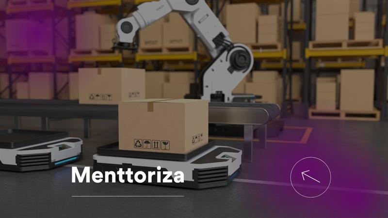 Logistica Menttoriza